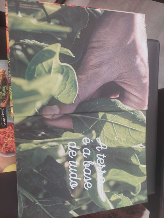 Livros de receitas Pingo Doce