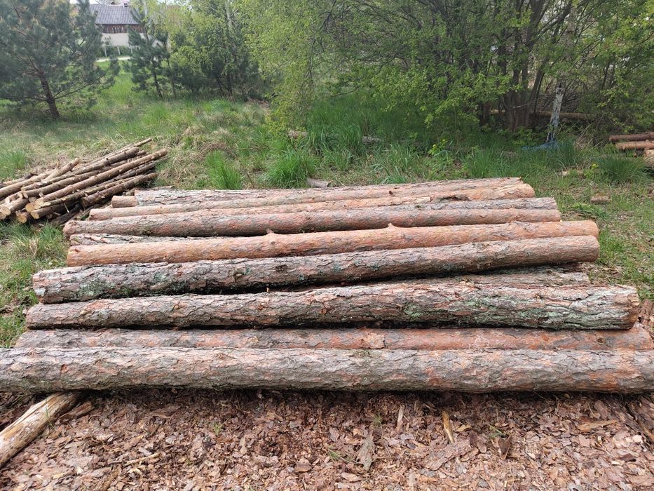 Ogród,Słupki,Słupy,Ogrodzenie