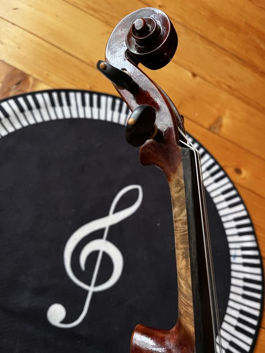 Скрипка пташине око