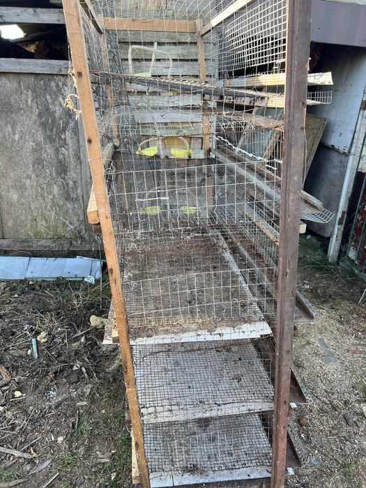 Клетка для перепелов