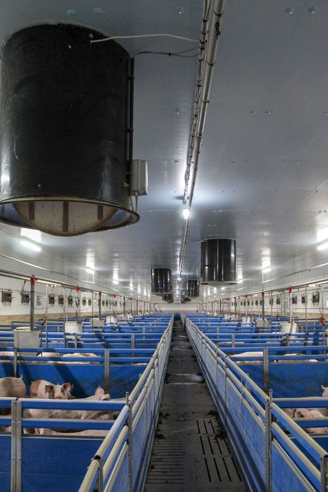 Ocieplenie do Obór Kurników Tuczarni Chlewni Hali Styrodur XPS AGRO