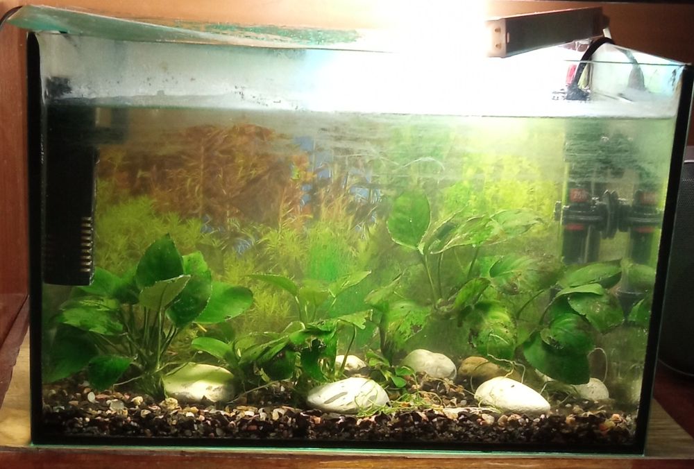 Продам аквариум до 25л