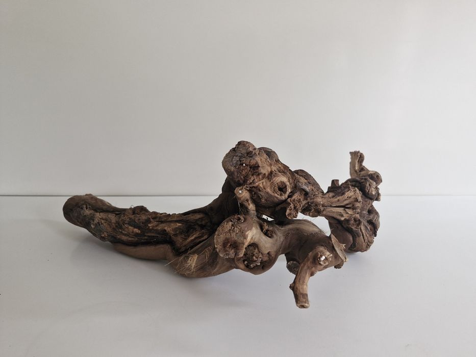 Trixie Reptiland  konar winorośli do terrarium