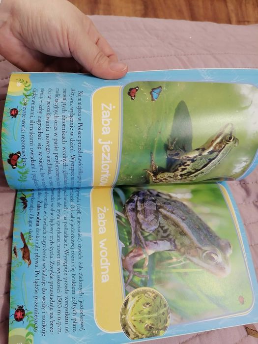 Książka,, Zwierzątka naszych rzek, jezior i stawów,,