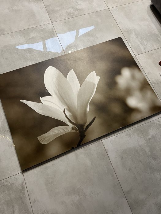 Obraz na plótnie, kwiat magnolia 118x78 cm