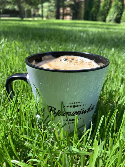 Domek letniskowy „Brzozówka”