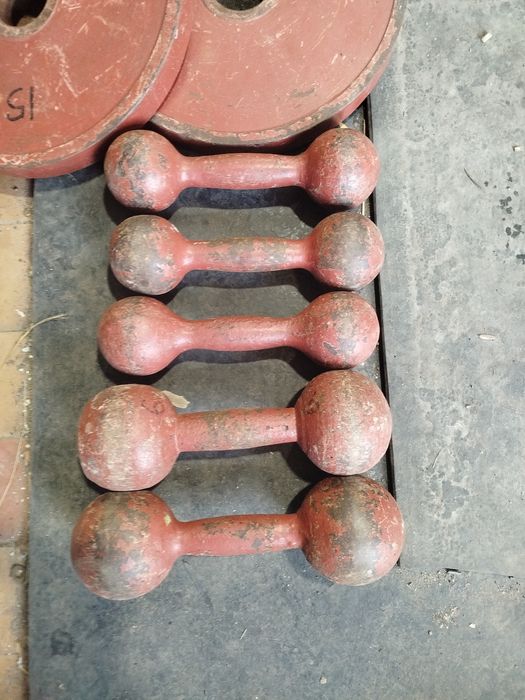 Для занятий гантели 3 и 6 кг в паре