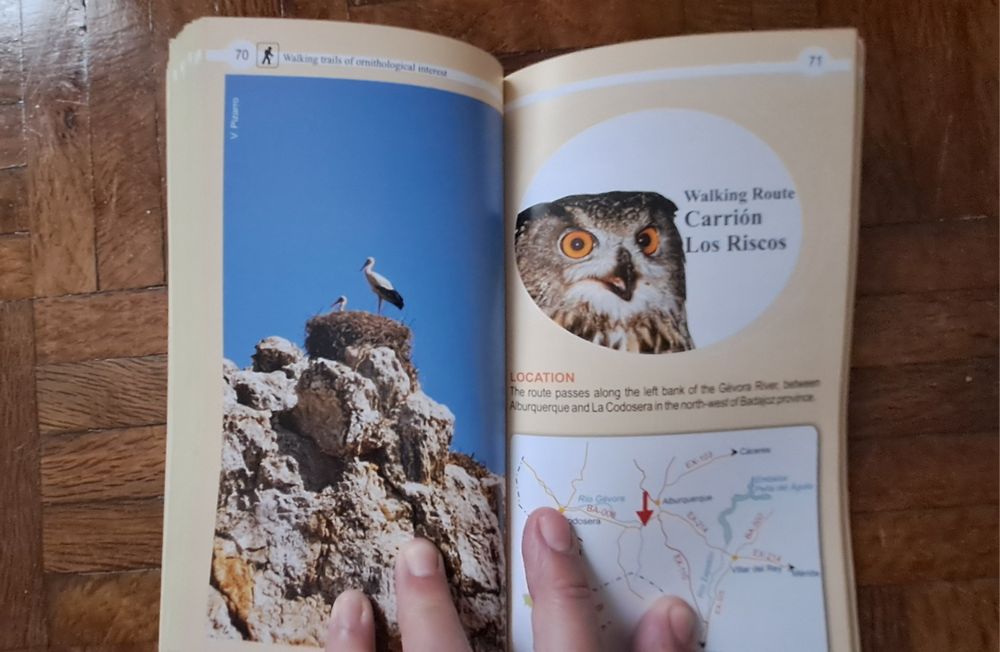 Guia de observação de aves