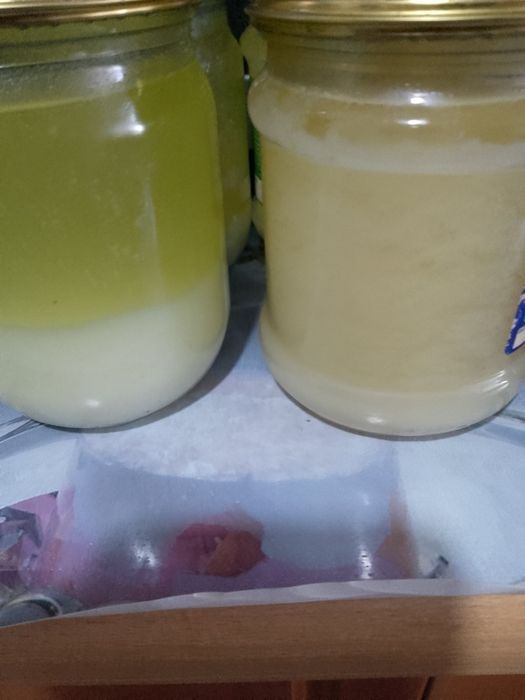 Продам борсучий жир