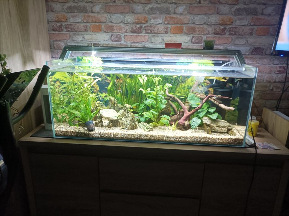 Akwarium 160 litrów opti white