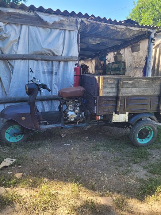 Продам  муравей 150