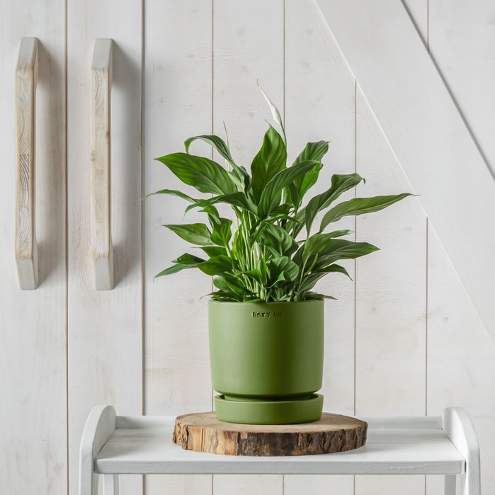 Vaso Moderno de Cerâmica Verde Pistáchio