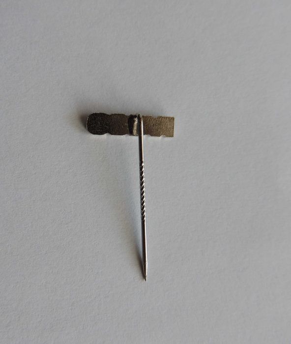 komplet przypinek IVECO