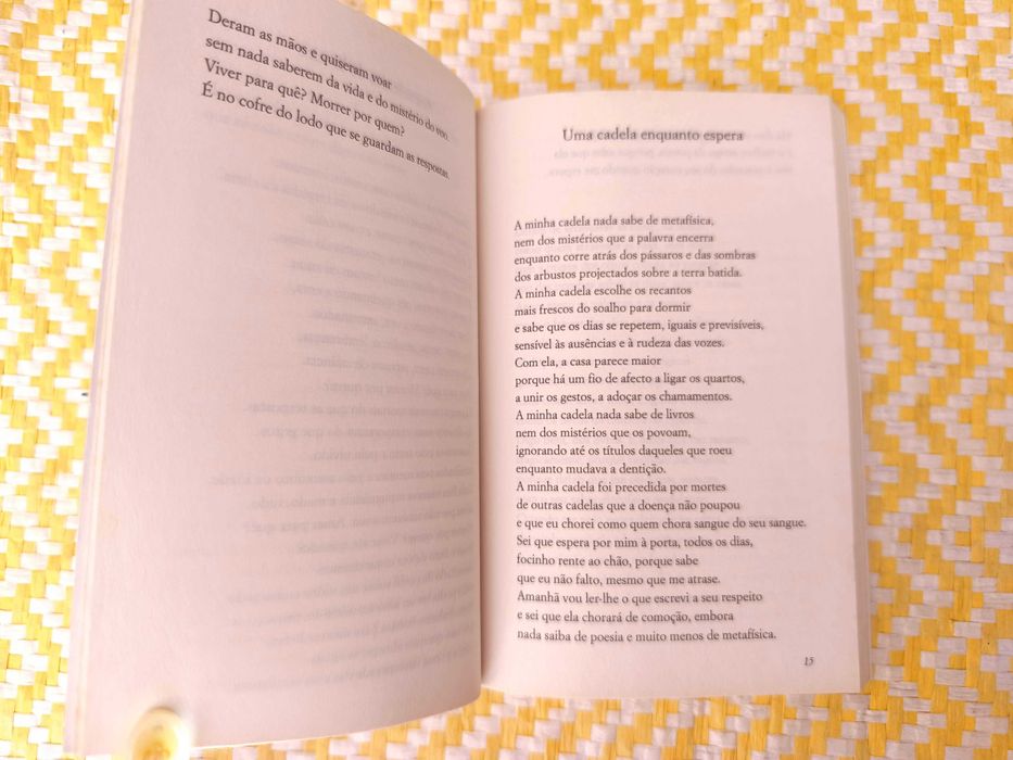 José Jorge Letria 
Coração sem abrigo / Produto Interno Lírico