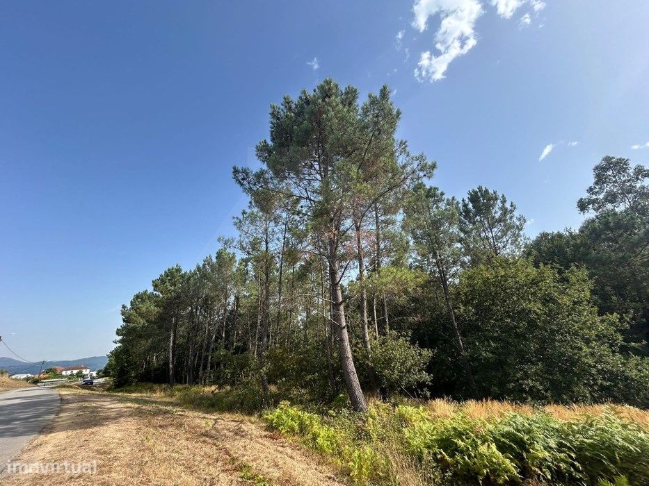 Terreno de construção em Agualonga