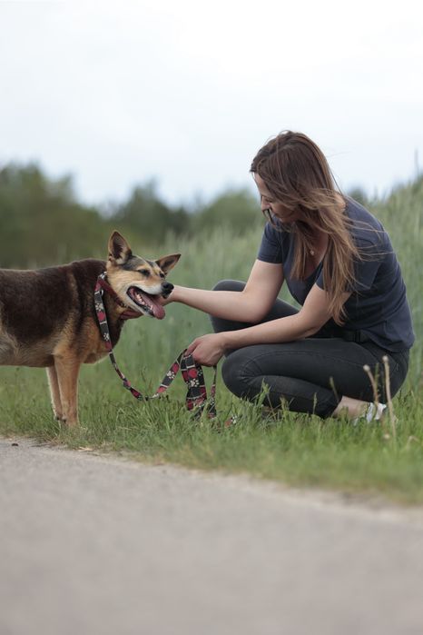 Spokojna i kochana Miranda czeka na dom