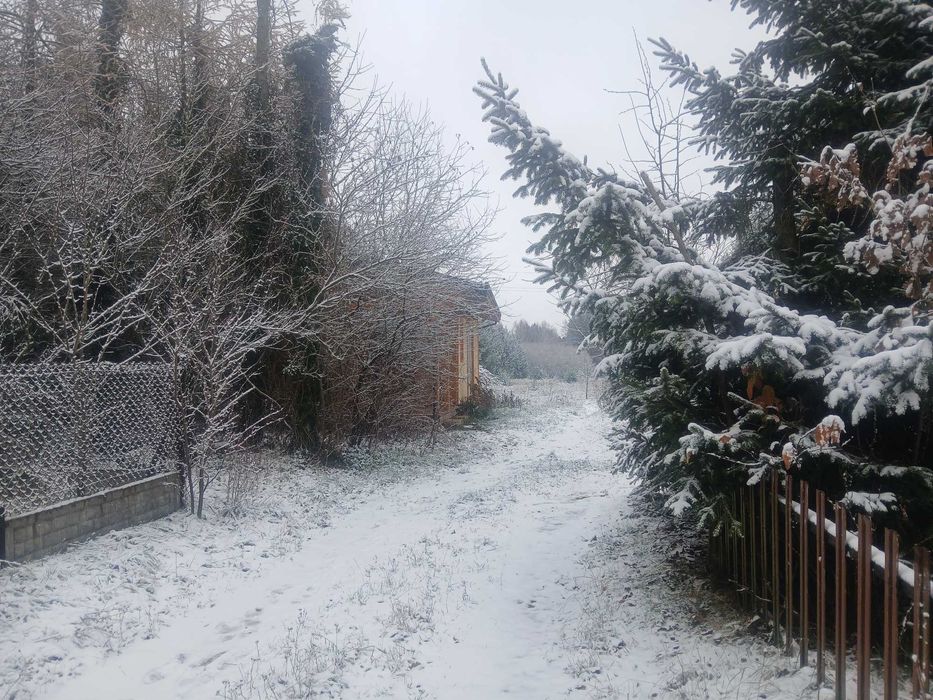 Mały domek na urlop pod lasem Nocleg