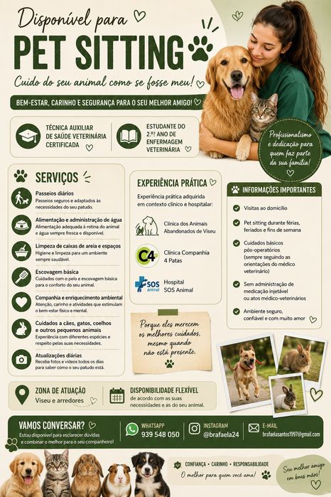 Pet sitting Dog Walk
