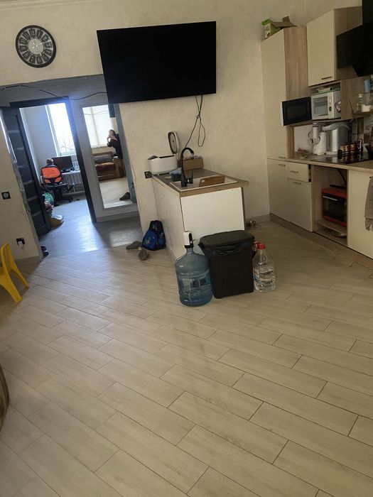 Николаев! Перетримка тварин, гризунів. Передержка. Зооготель.