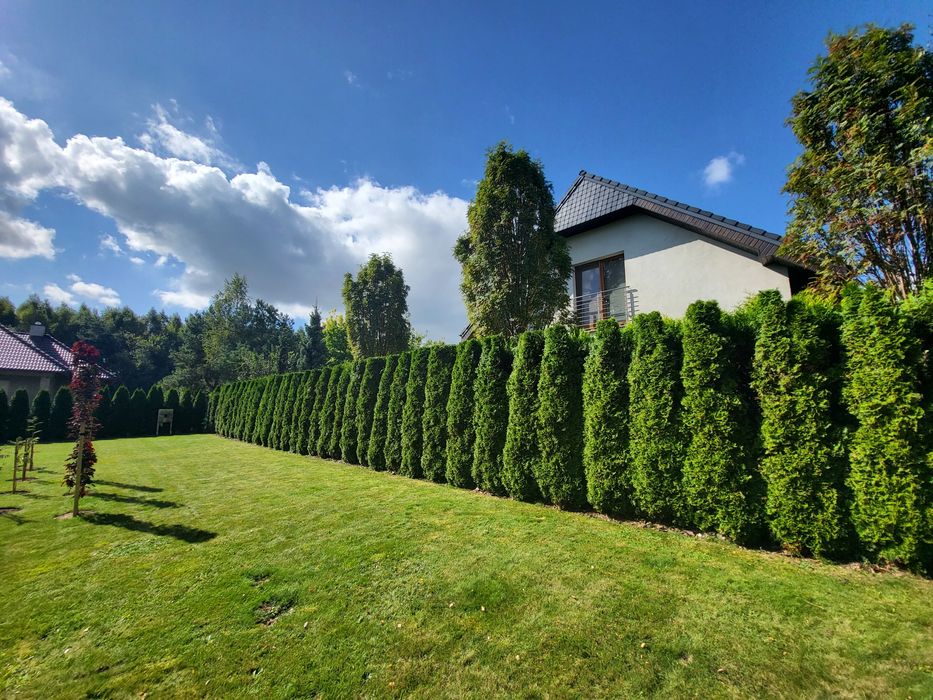 Przycinanie drzew,Przycinanie żywopłotów, utylizacja gałęzi, Koszenie