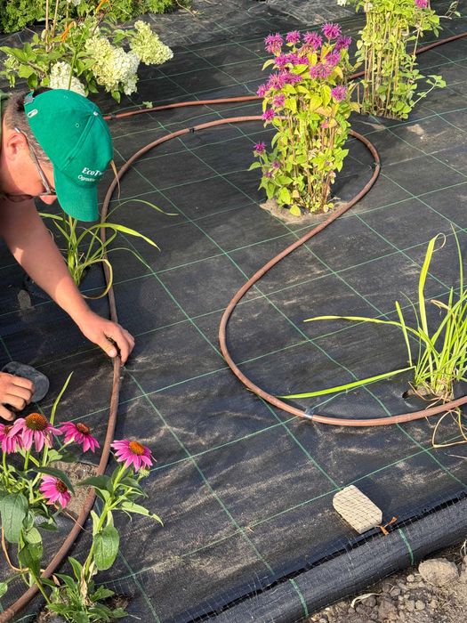 Budowanie i projektowanie ogrodów