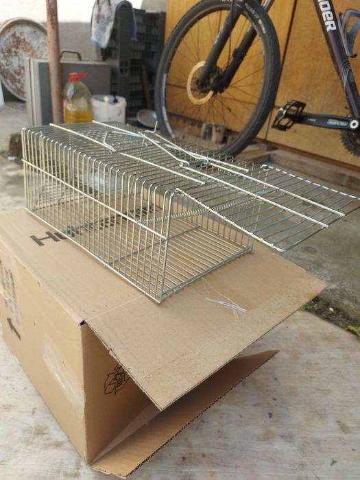 Armadilha para capturar ratos, ratazanas e outros roedores.