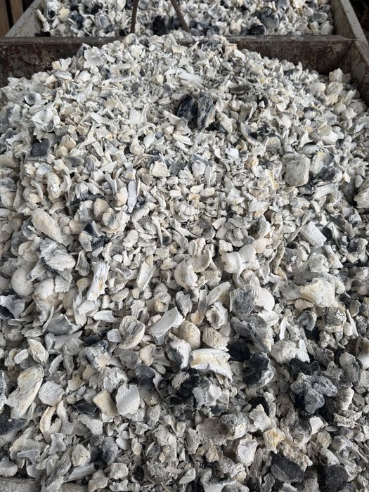 Продам попіл  із кісток