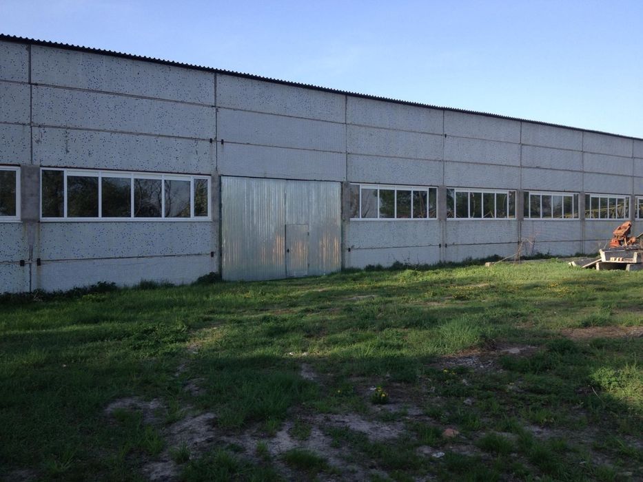 Оренда ангара 600 м² — с. Сулимівка!