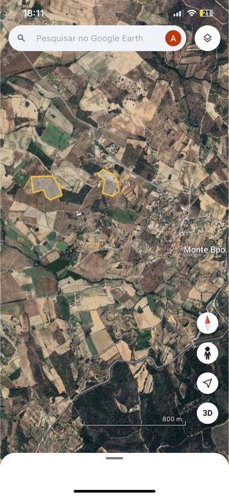 Terreno-Quinta em Caria 5 Hectares Vinha Rustico/Urbano