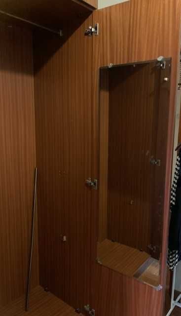 OPORTUNIDADE Roupeiro madeira maciça e espelho
