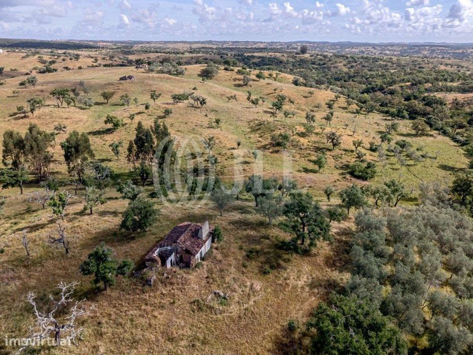 Terreno com 4 hectares na Serra de Grândola, Santiago do Cacém
