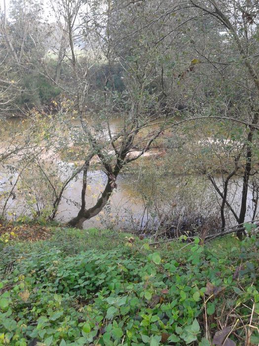 Terreno para Agricultura