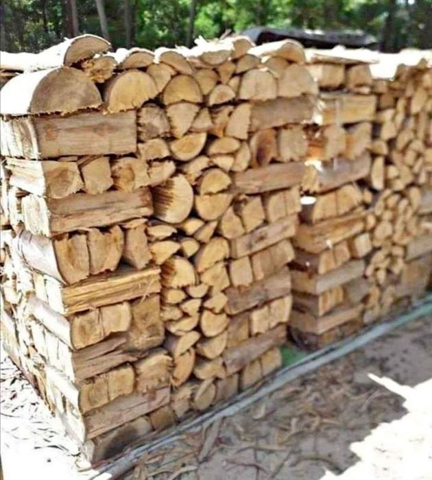 Vendo lenha seca pinho 40€ m³