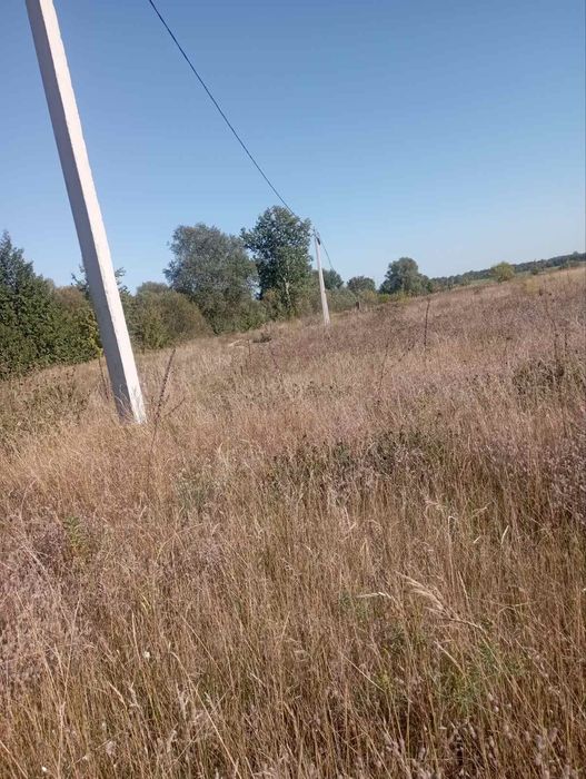 Земельна ділянка 18,45. Село Клочків Чернігівський район.