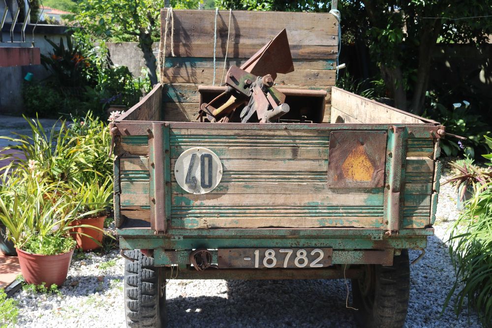 Motocultivador Agria 2700 DL