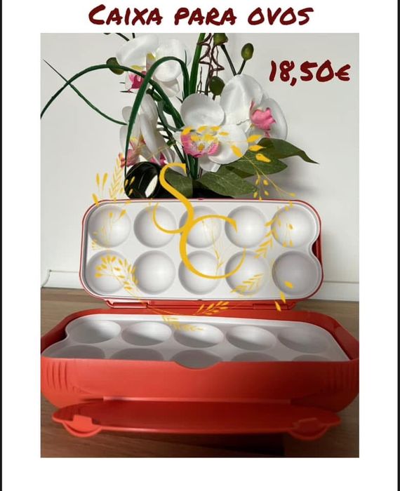 Egg Box - Tupperware436769561060331520
