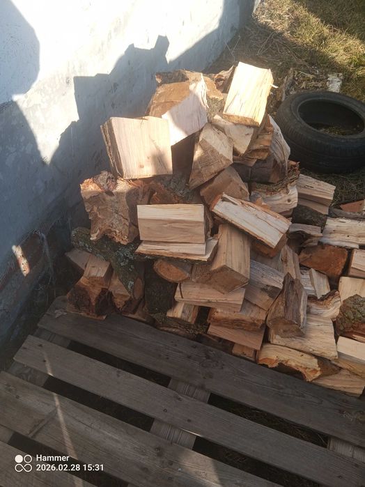 Drewno opałowe liściaste iglaste