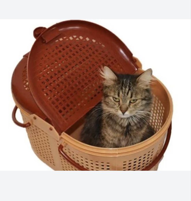 Переноска для кота,переноска