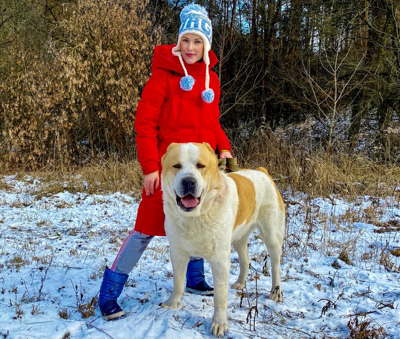 Высокопородные Щенки Среднеазиатской Овчарки/Алабай