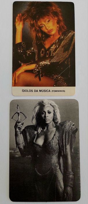 TINA Turner - 12 calendários