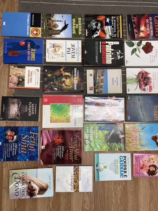 Romances / Policiais / Economia / Desenvolvimento Pessoal
