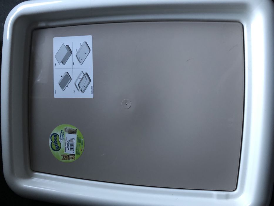 Tapete educação, acessórios e ofertas