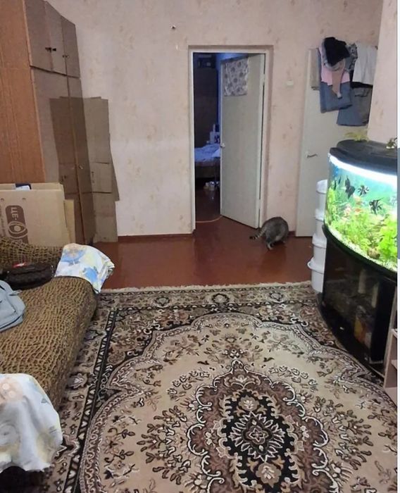 Продам  квартиру. Центр.