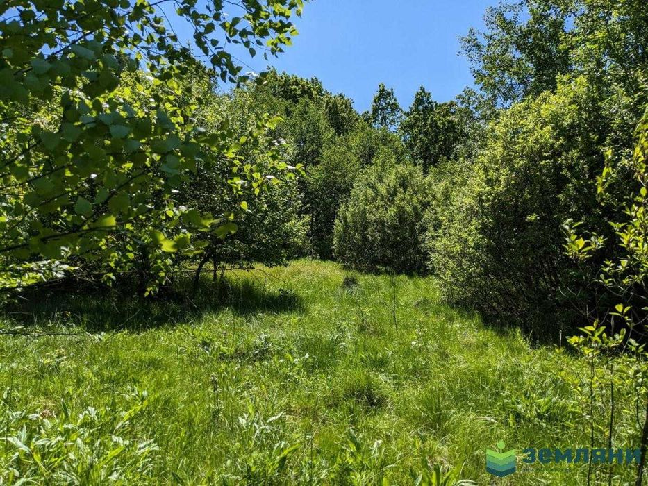 Продаж земельної ділянки 9 сот в с. Нова Гута (8)