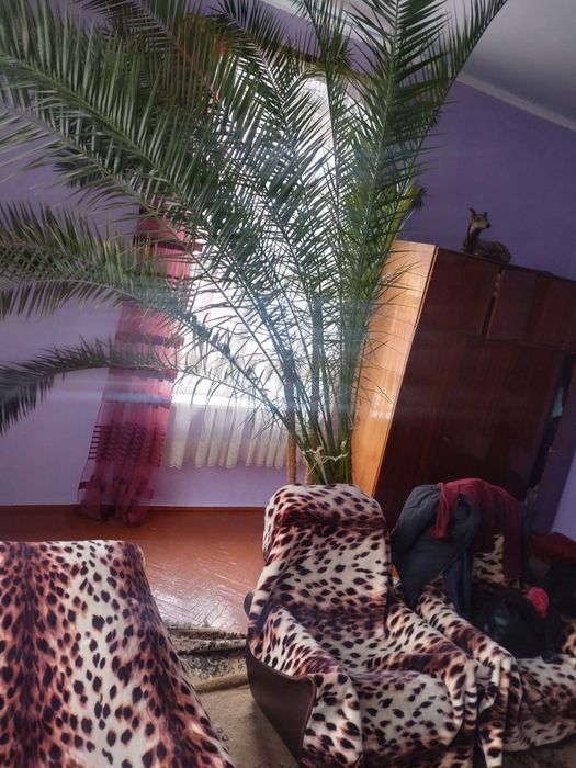 Продається квартира 50,2 кв.м.. Бучач. Галицька. Центр. (ПриватБанк)