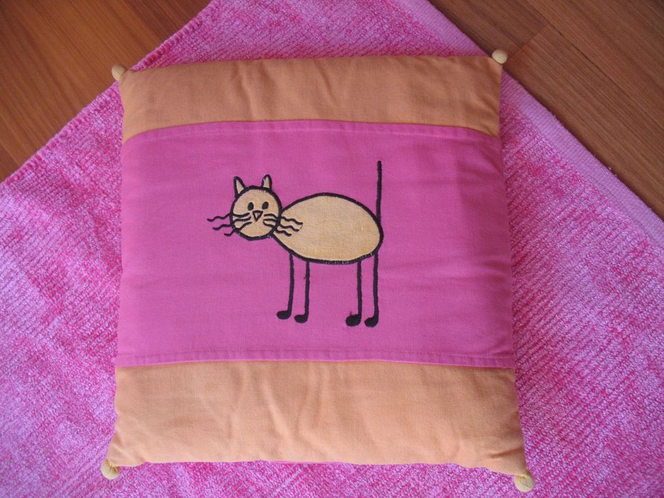 Utilitários para casa gato preto
