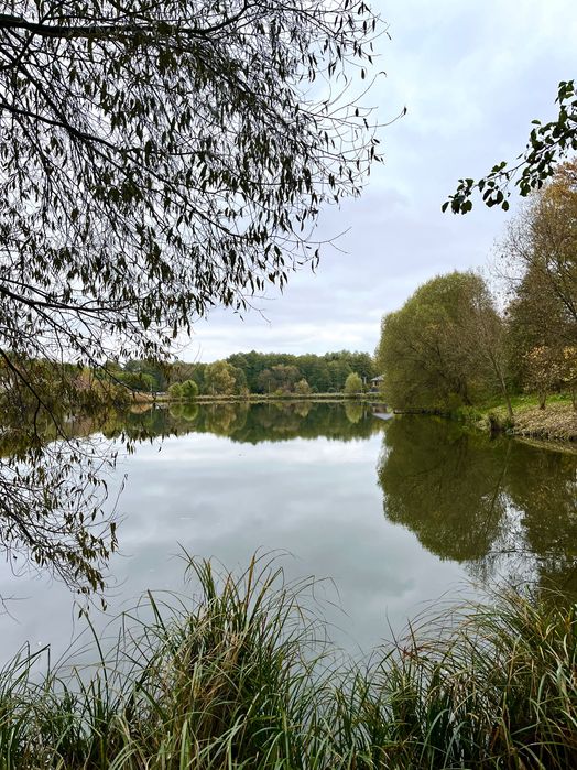Одеська траса.с.Іванковичі.Будинок з меблями. 20сот ландшафтний дизайн