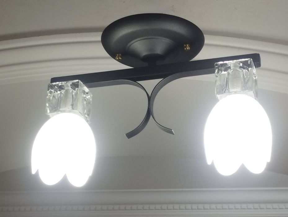 Стельова люстра 2602/2