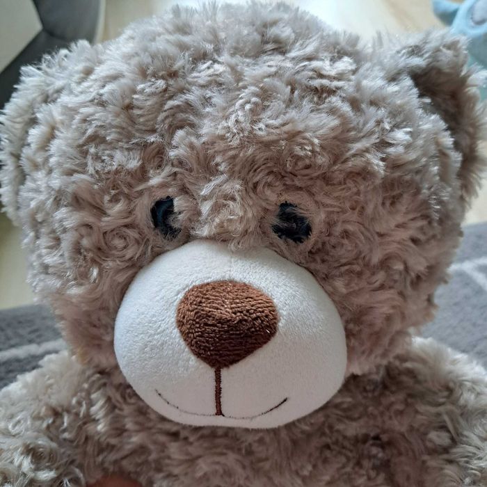 Interaktywny miś projektor sowa