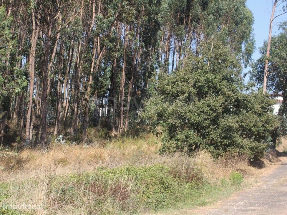 Terreno para construção em Casal do Rei - Rio Maior / Caldas da Rainha
